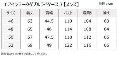 画像1: エアインテークダブルライダース3
