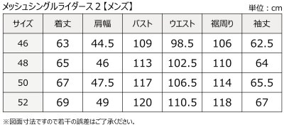 画像3: メッシュシングルライダース２