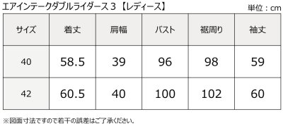 画像1: エアインテークダブルライダース3