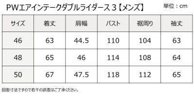 画像3: PWエアインテークダブルライダース